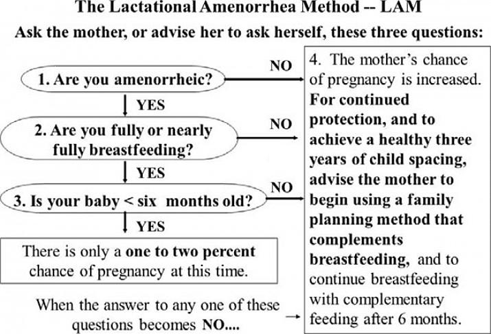 אמנוריאה הנקה היא שיטה טבעית למניעת הריון