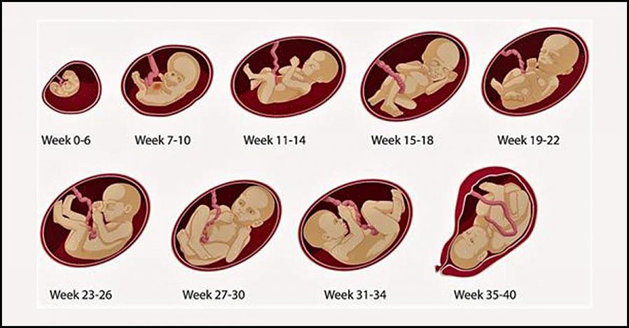 התינוק עשוי להתחיל לזוז לפני או אחרי השבוע ה-20 להריון