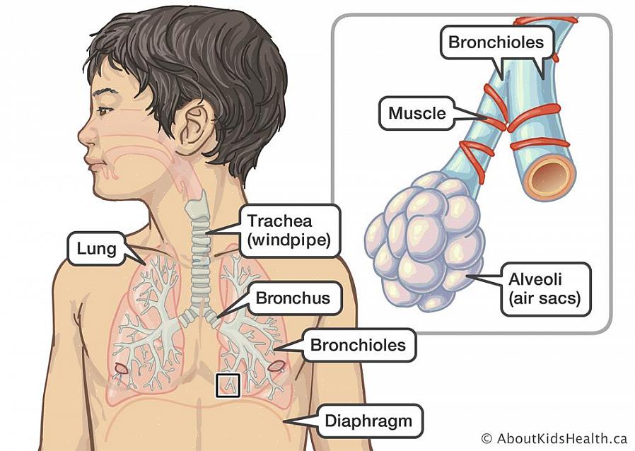 ישנם מצבים שונים המקדמים התפתחות של זיהומים בדרכי הנשימה בילדים