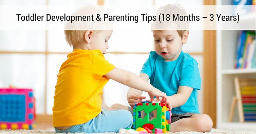 במהלך ההתפתחות המוקדמת המתרחשת בילדים מגיל 0 עד 3 שנים