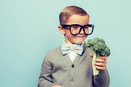 האם הורים צריכים להכריח את ילדיהם לשמור על תזונה צמחונית