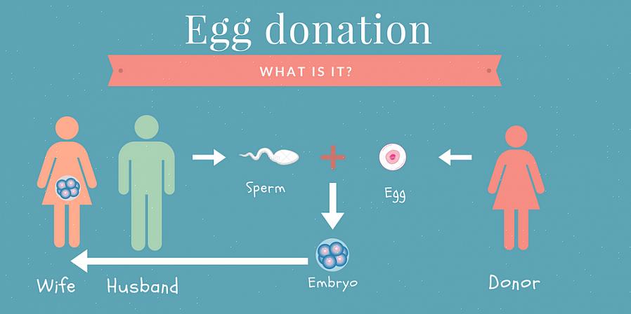 תרומת ביצית עשויה להיות אופציה לנשים שמתקשות להרות עקב בעיות בביציות