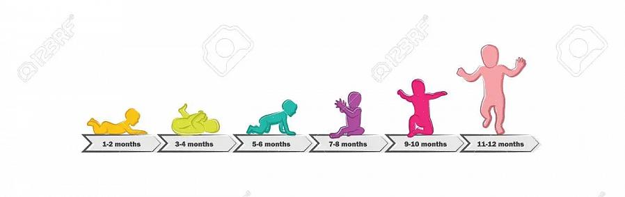 שלב התפתחותי שלישי בשנת חייו הראשונה של תינוק