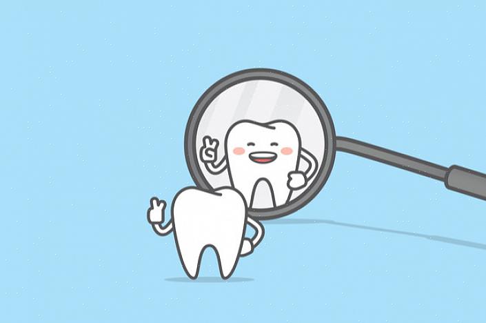 ברשימת העובדות המהנות שלנו על שיני חלב נמצא מספר השיניים שיש להן