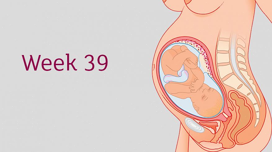 איך התינוק שלי בשבוע ה-39 להריון