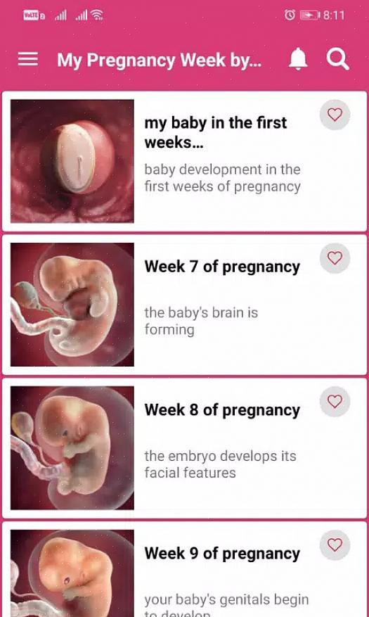 היווצרות העובר במהלך שבוע 9 להריון