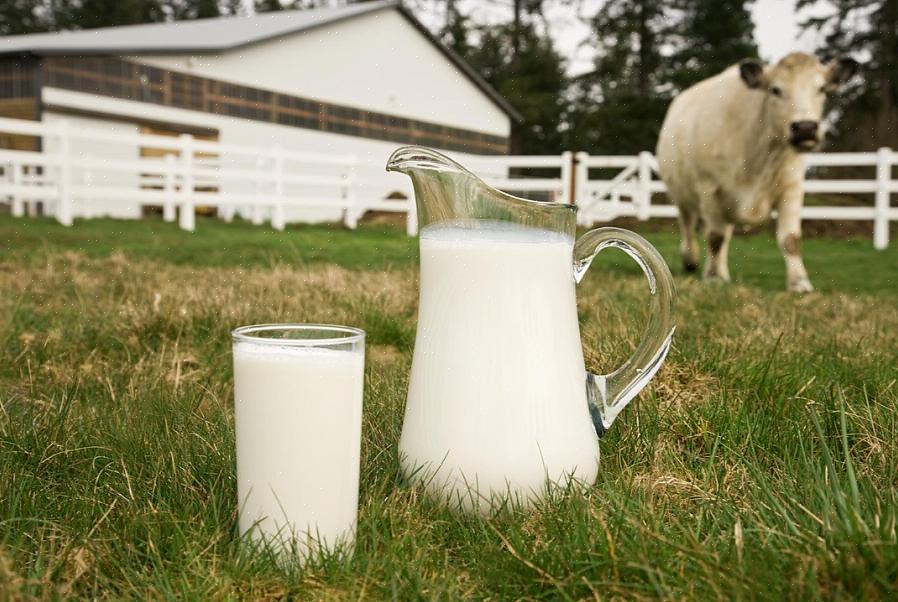 הבנת ההבדלים בחלב של מינים שונים יכולה לעזור לאנשים להבין טוב יותר כיצד חלב אם אנושי הוא החלב האידיאלי