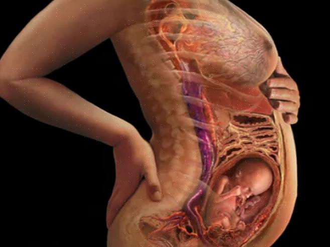 בשבוע ה-23 להריון האישה חווה גם נפיחות בגופה