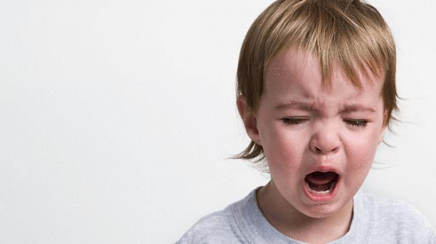 הבנה כיצד פועל המוח של ילד כאשר יש לו התקף זעם תאפשר לנו להתאים את ציפיות המבוגרים שלנו
